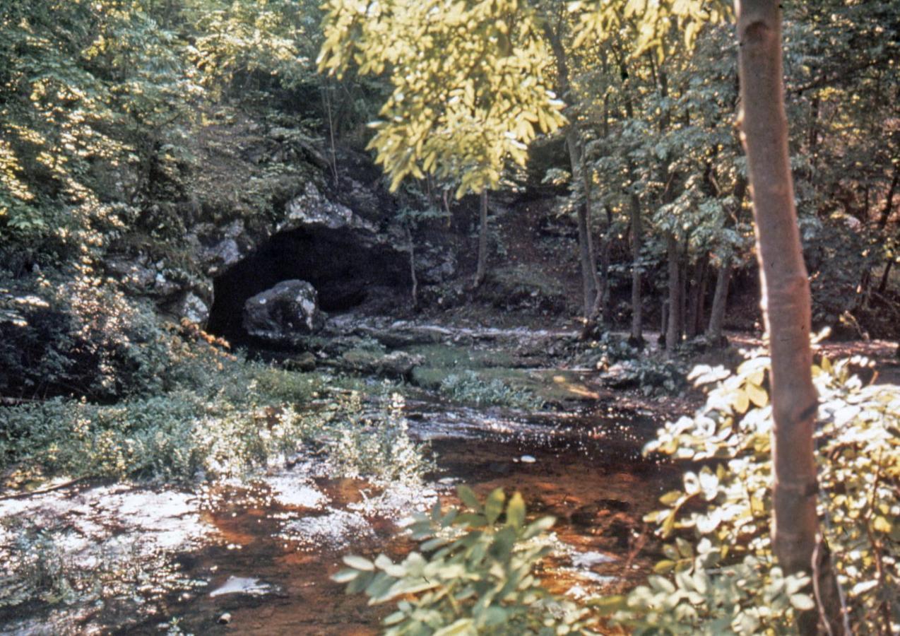 Kvarnvillan Lummelundsbruk VBY Exteriér fotografie